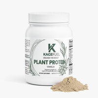 Plant Protein (Vanilla)